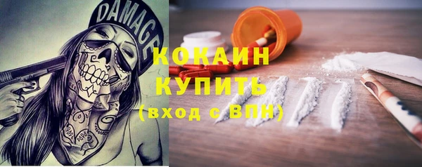 твердый Иннополис