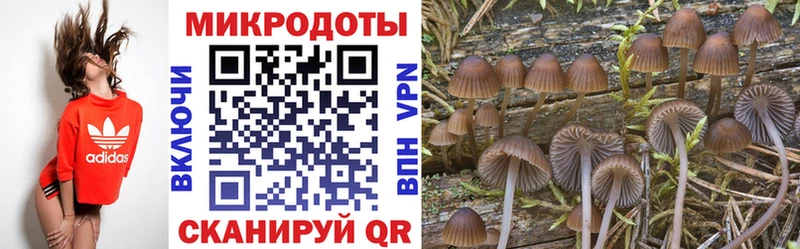 Галлюциногенные грибы GOLDEN TEACHER  Купить закладки  Зерноград 